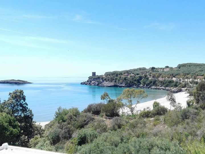video image